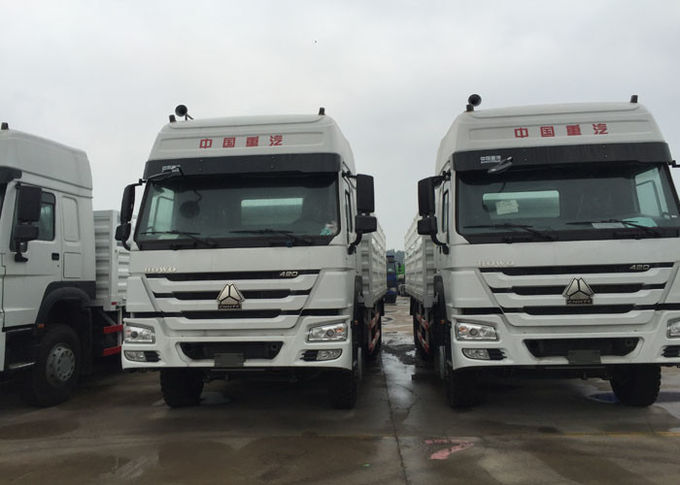Светлые транспортные машины товаров HOWO экономические 25 10Wheels LHD 290 тонн койки HP 2