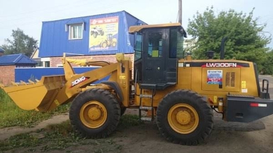 Строительная техника 92кв ЛВ300ФН 10т тяжелая расклассифицировала силу с утверждением Исо Ккк